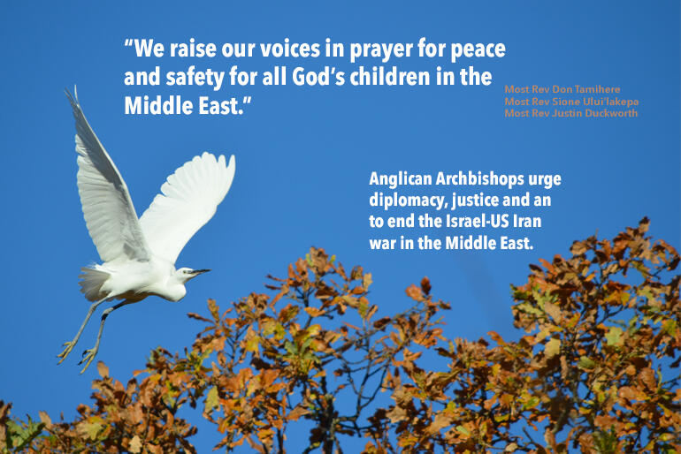 Anglican Archbishops in Aotearoa, NZ & Polynesia have appealed for Middle East peace. Photo: heatherkilgour.com
